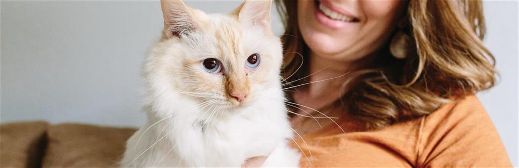 Best Cat Insurance Plans | Pets Best