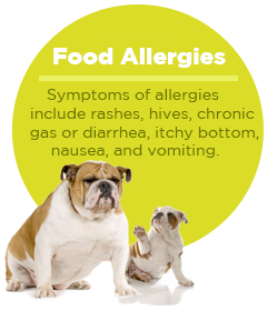 pullquote-dog-food-allergies