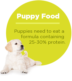 pullquote-puppy-food-protein